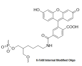 Bio-Synthesis Inc. Oligo Structure